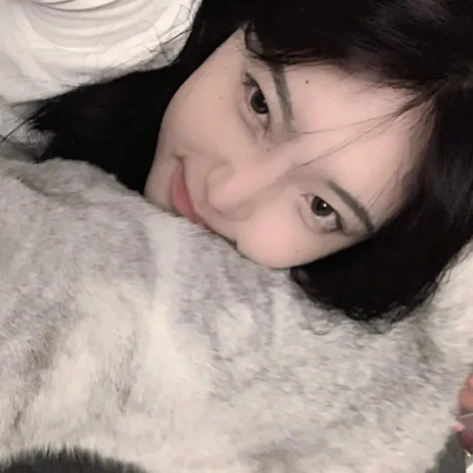 西莱克斯与城市